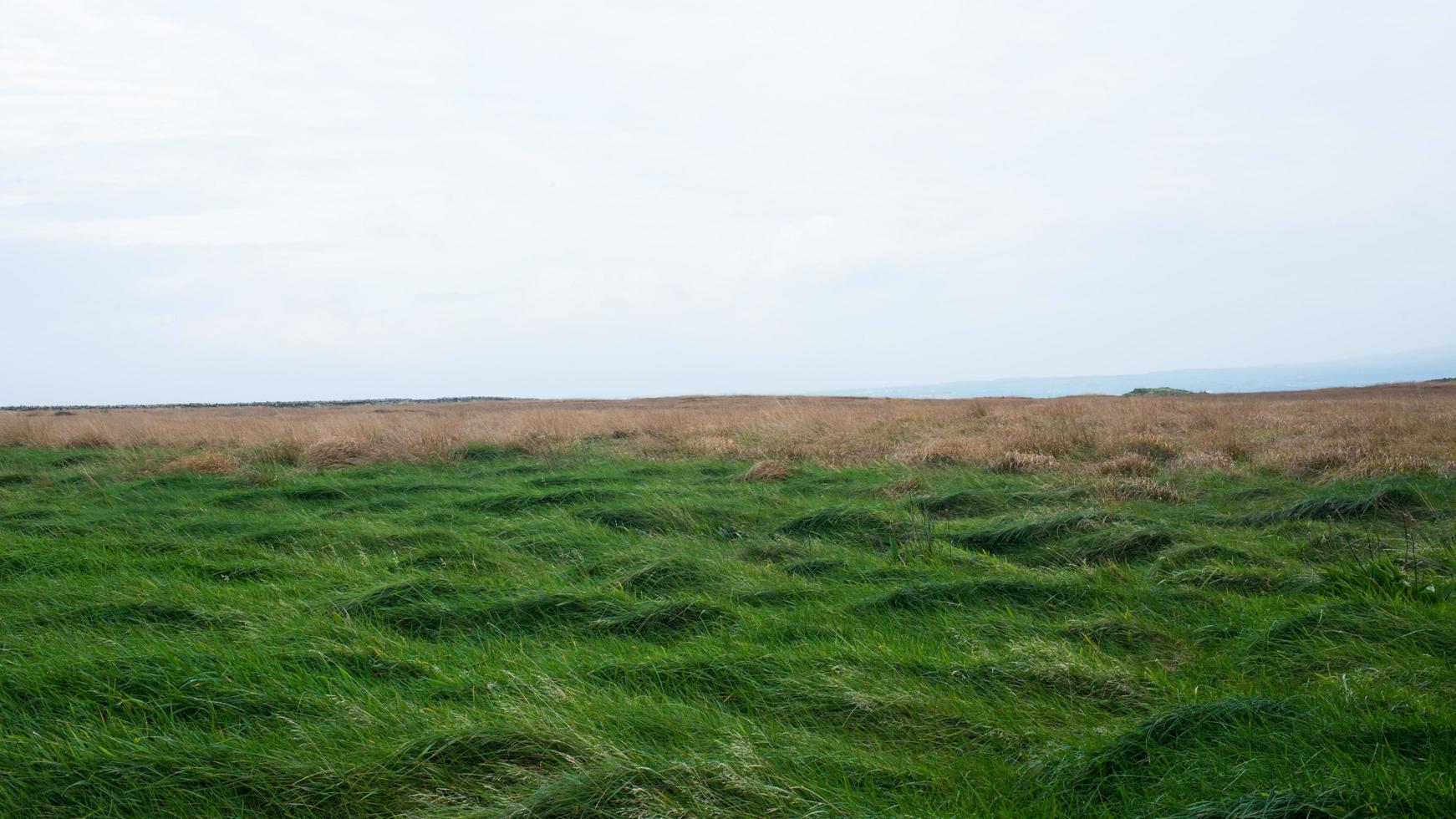 beau paysage irlandais avec de l'herbe verte et de l'herbe sèche par temps venteux. Irlande photo