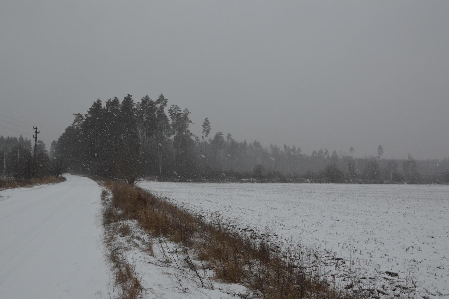 panorama d'un champ agricole recouvert de neige en hiver photo