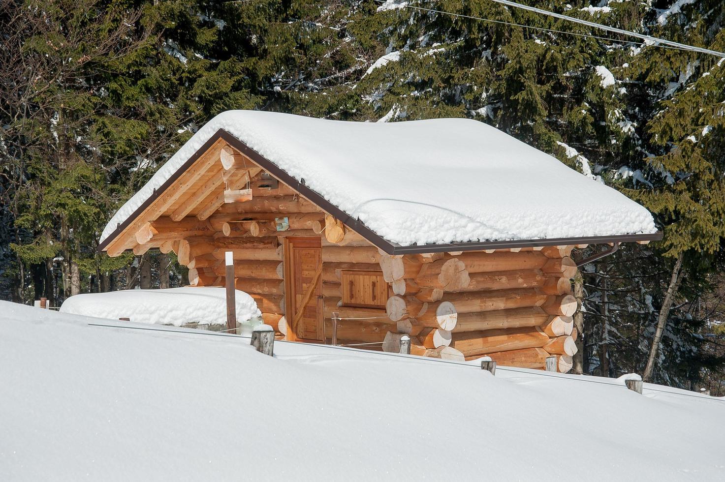 petite maison le bois enveloppé de neige photo