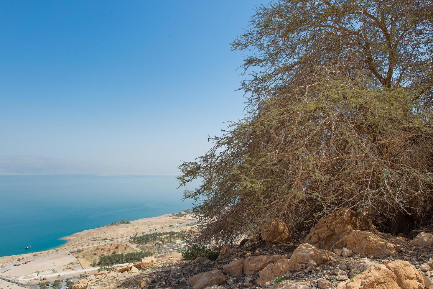 près de l'oasis d'ein gedi en arrière-plan la mer morte en israël photo