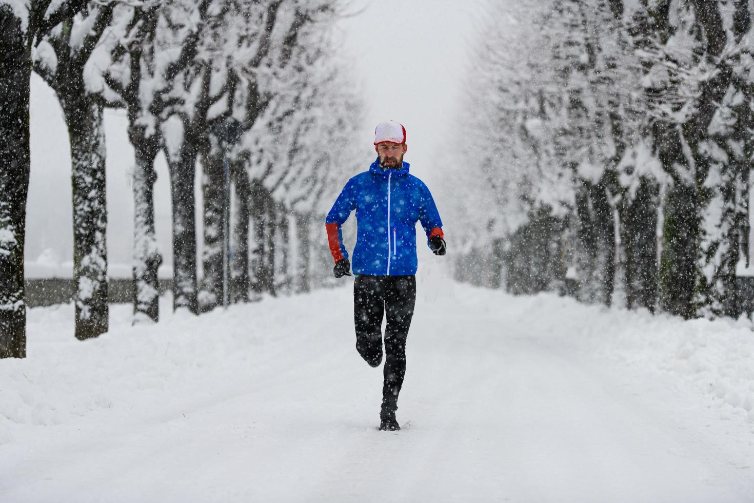 avenue bordée d'arbres pleine de neige avec un coureur au milieu de la route photo