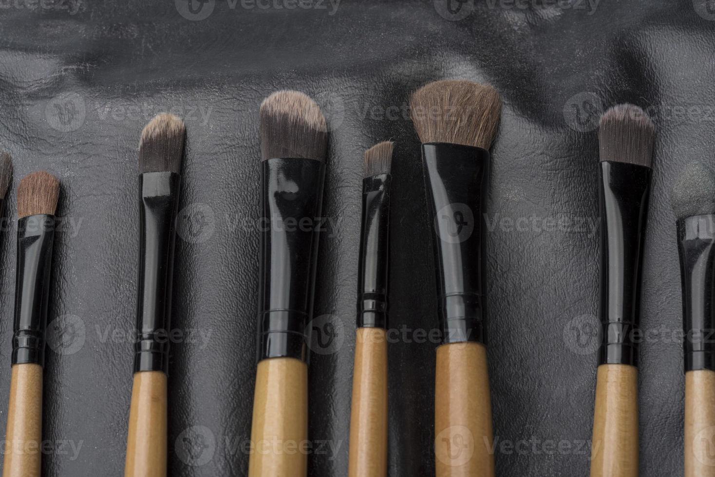 brosses de rechange dans un cichla en cuir pour la beauté féminine. photo