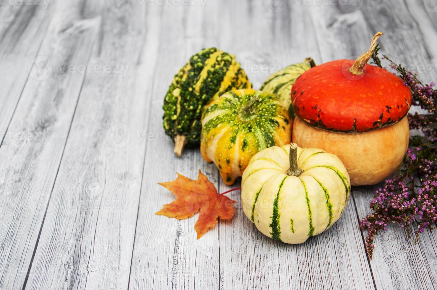 citrouilles avec des feuilles d'automne photo