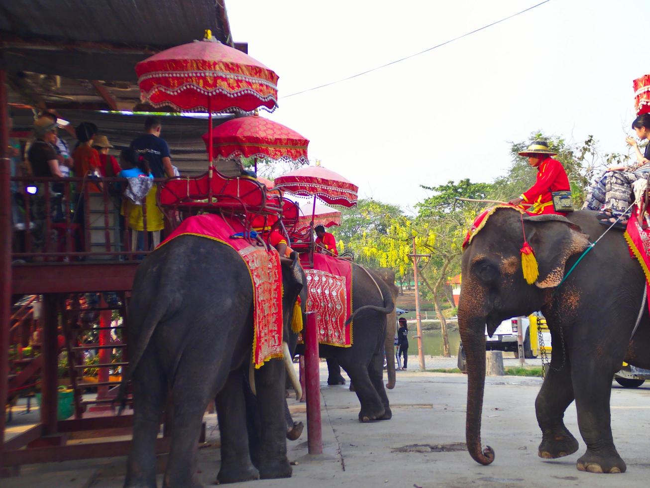 ayutthaya thailand28 février 2019ayutthaya elephant palace royal kraal.on ayutthaya thailand28 février 2019. photo