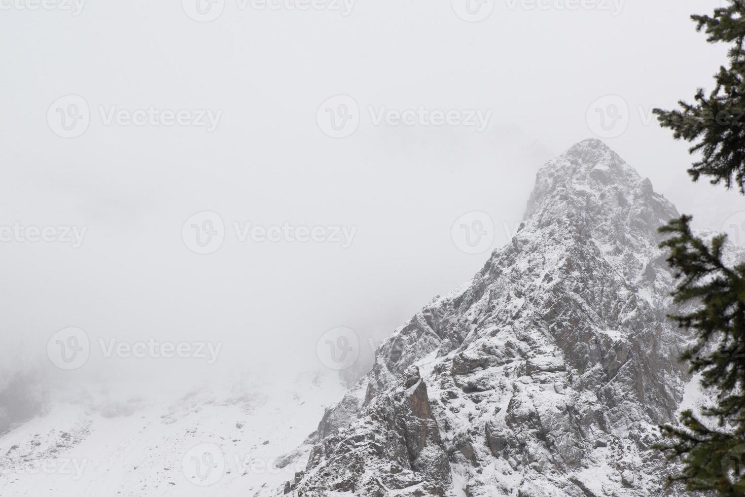 paysage de montagnes rocheuses d'hiver avec brouillard photo