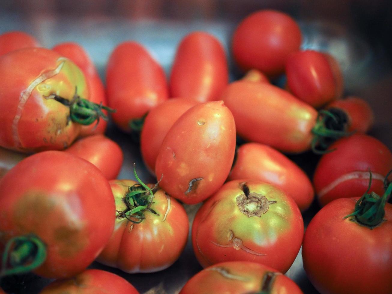 nourriture de légumes de tomate photo