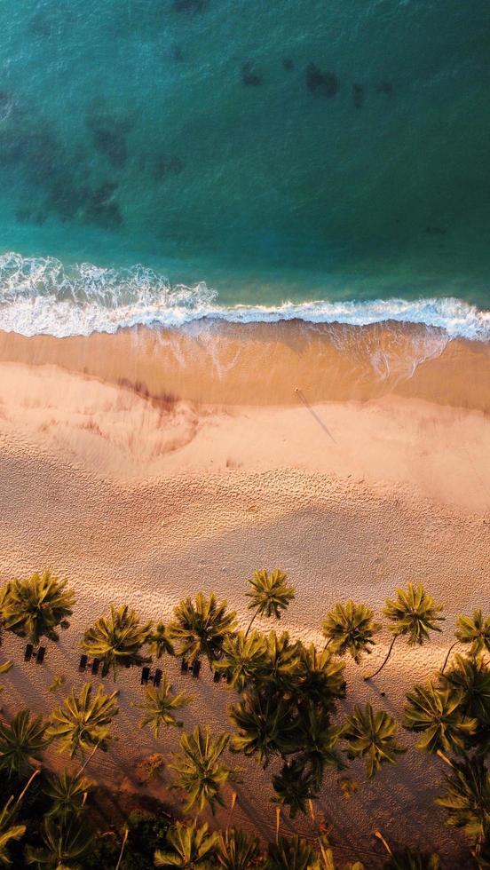 Vue de drone d'une plage à la lumière du soir photo