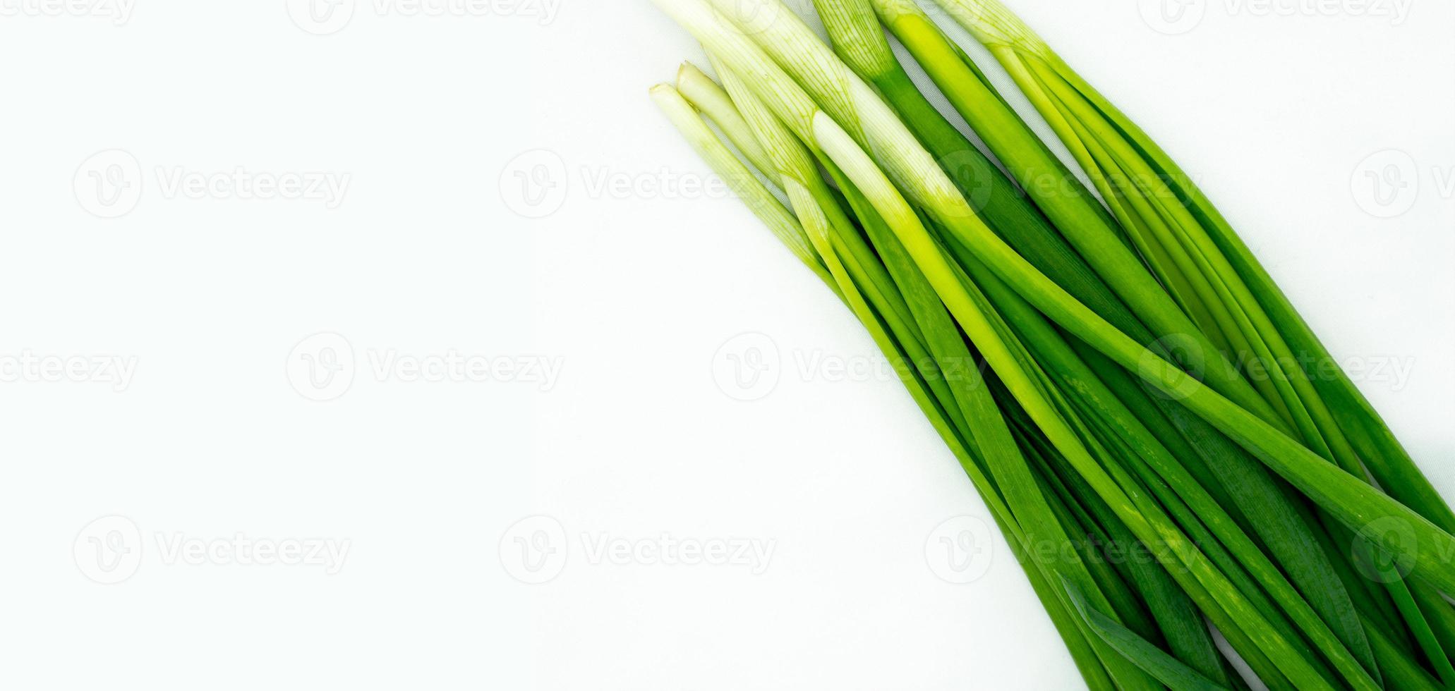 plumes d'oignon frais vert sur un fond blanc isolé avec un espace vide pour votre texte photo