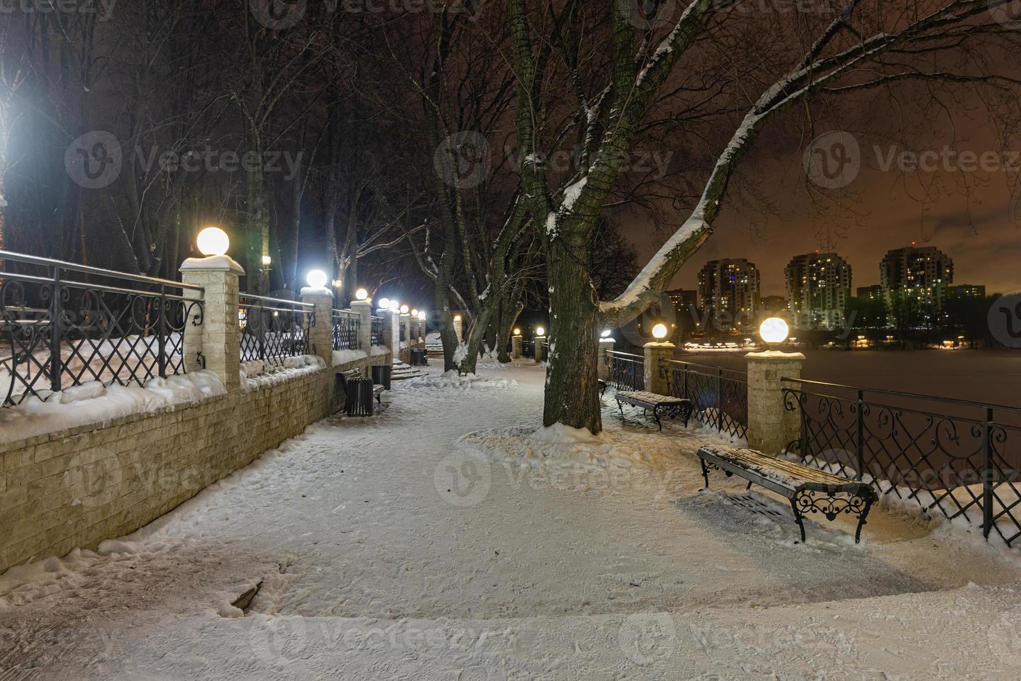 paysage nocturne du parc d'hiver photo