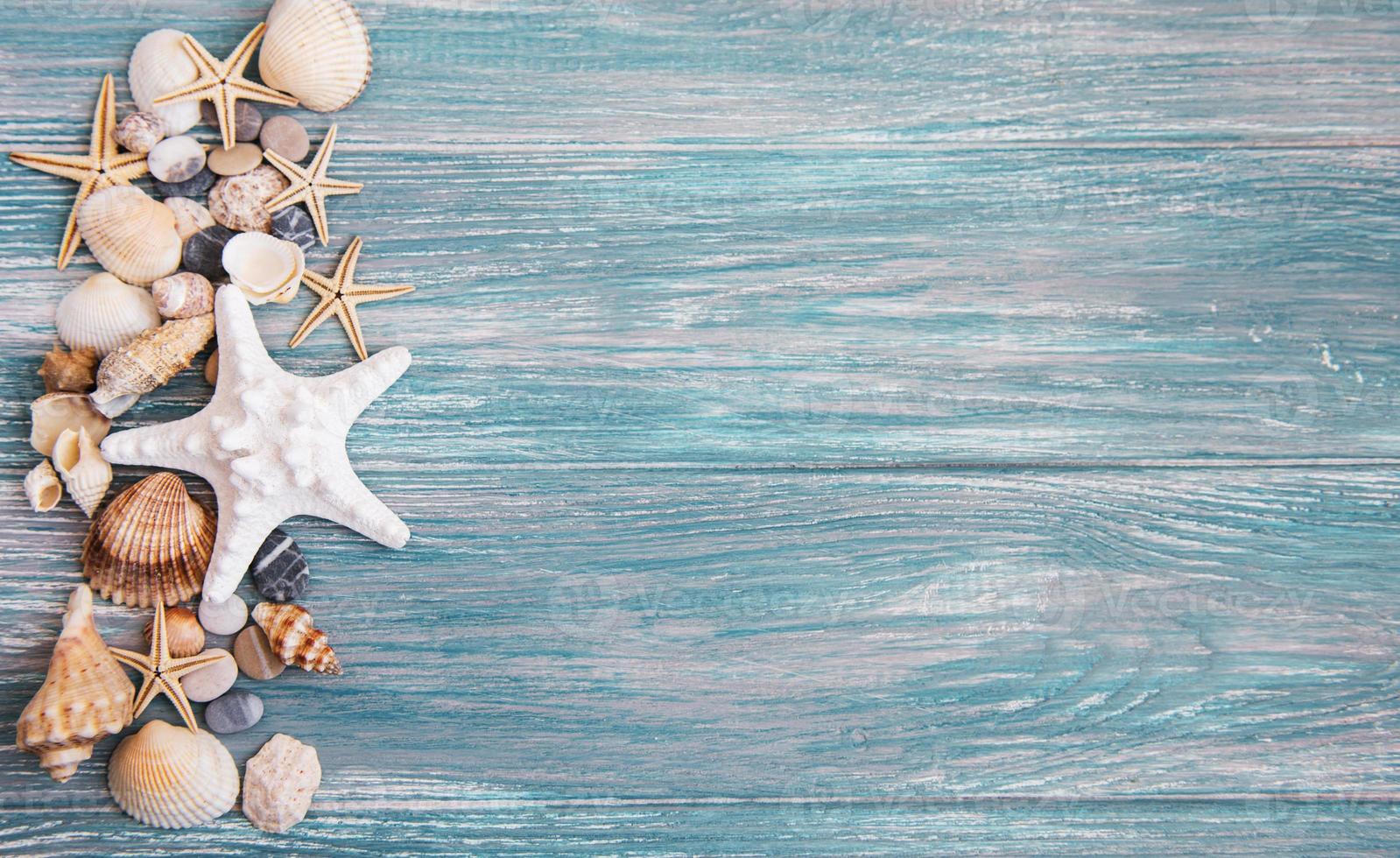 coquillages sur une table en bois photo