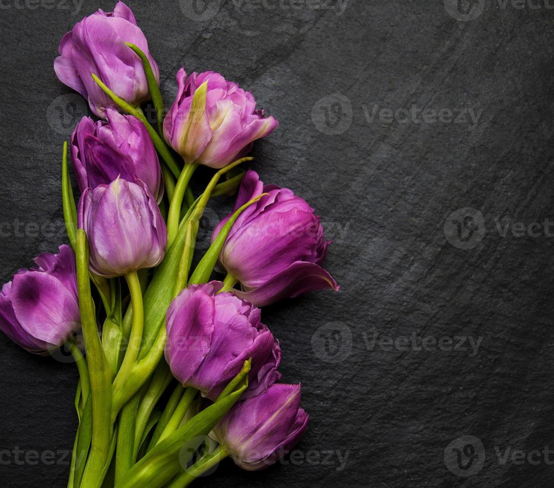 fleurs de tulipes de printemps photo