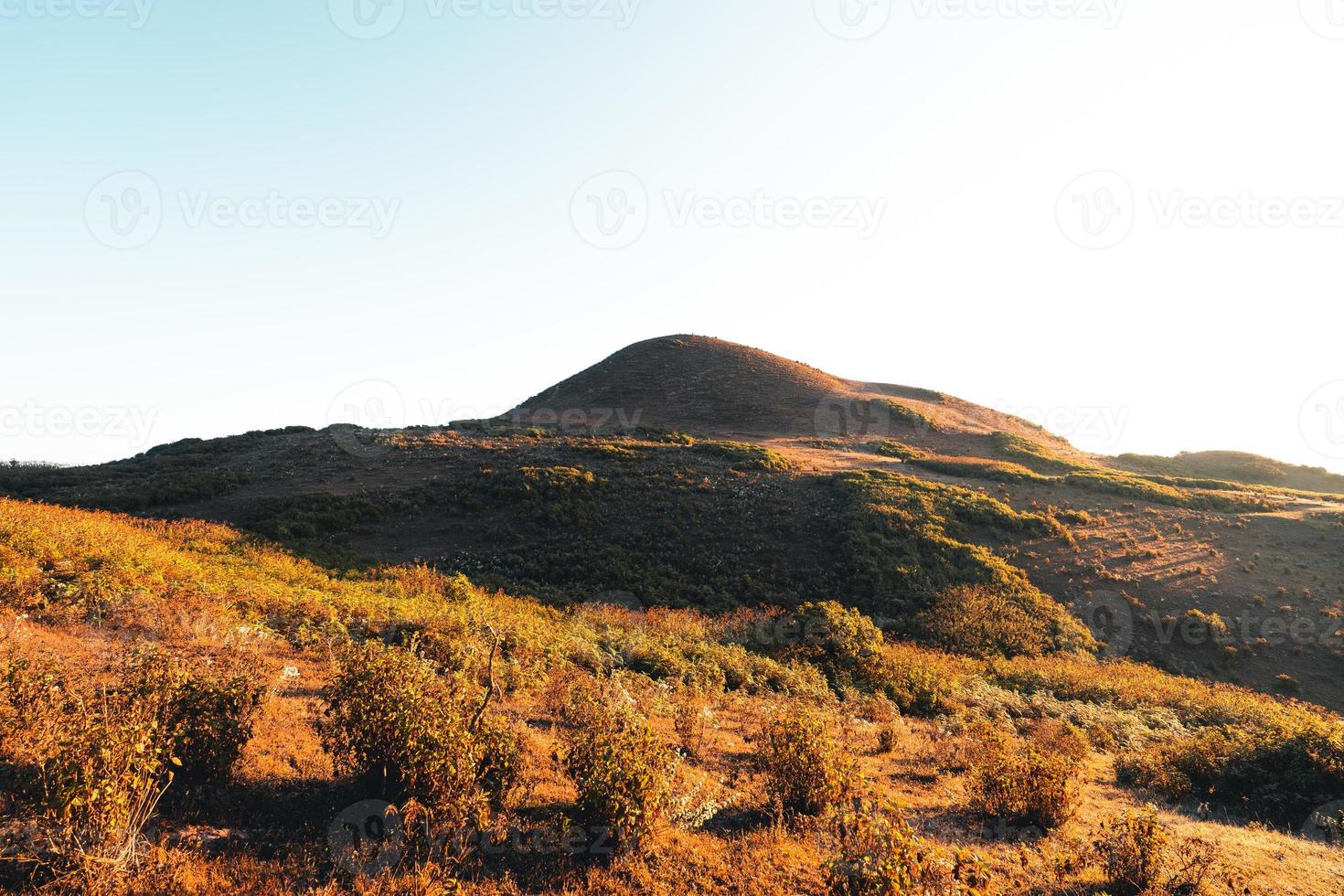 lumière du matin et montagnes, montagnes en été fleurs du matin et du printemps photo