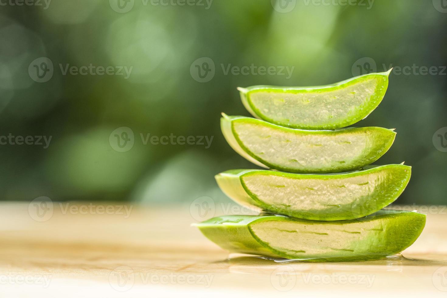 aloe vera frais photo