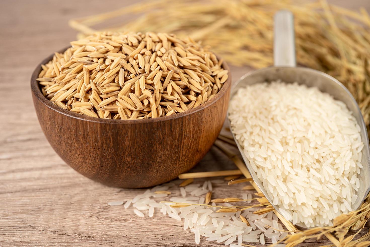 riz blanc au jasmin dans un bol en bois avec grain d'or de la ferme agricole. photo