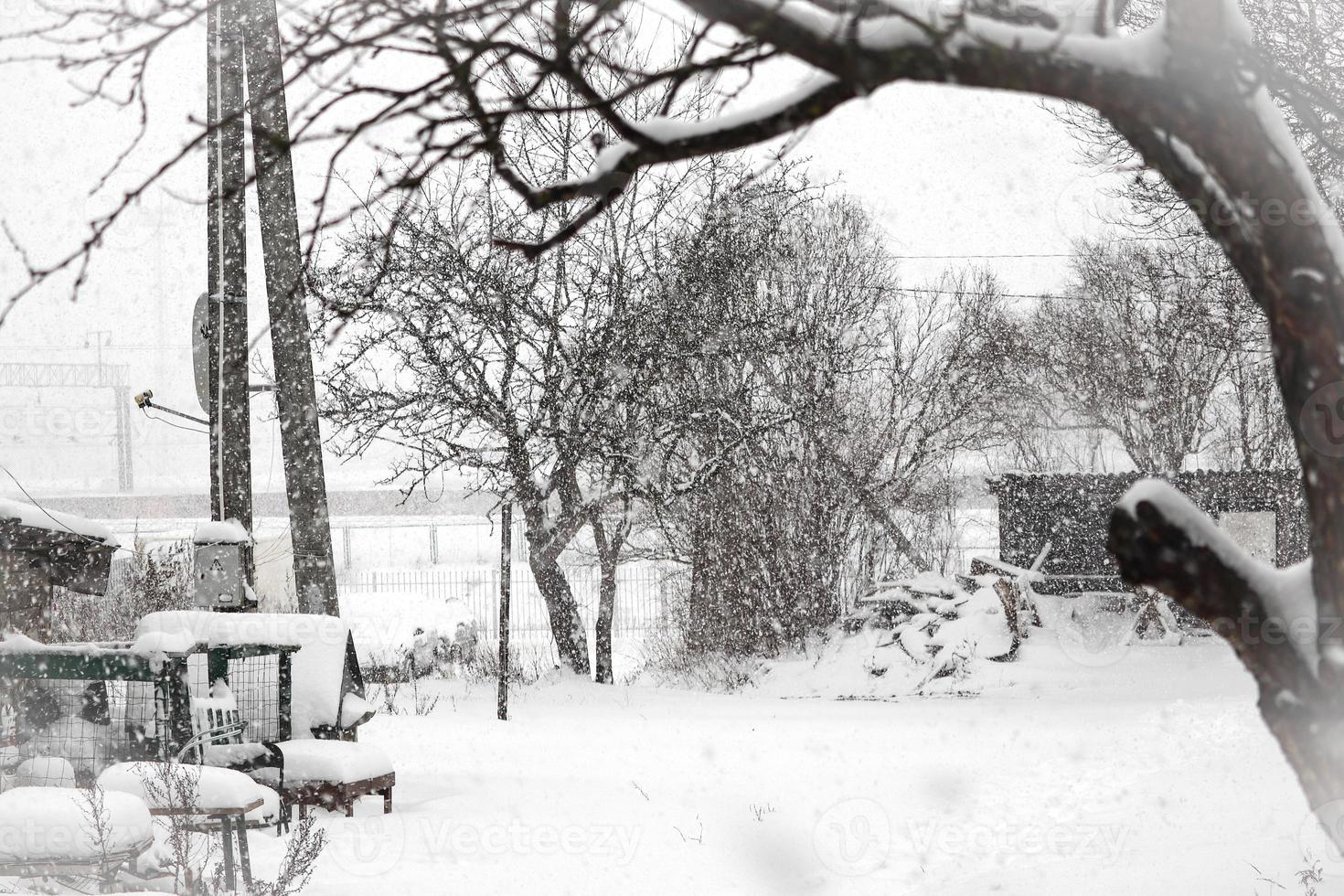 arbres sans feuilles, maisons et haies dans le blizzard de neige d'hiver photo