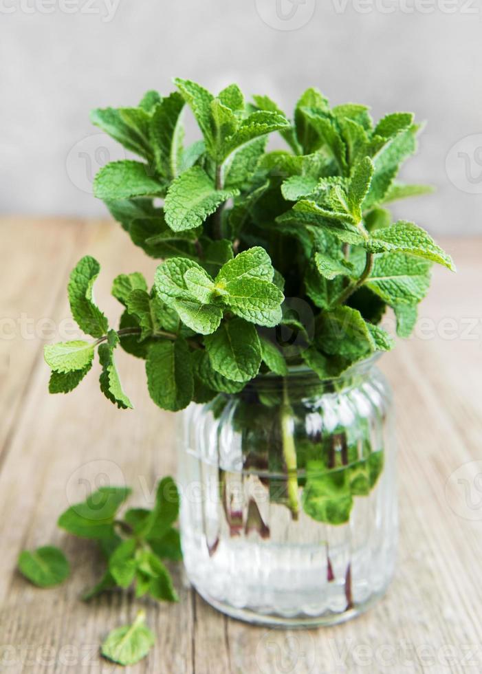 menthe fraîche dans un verre photo