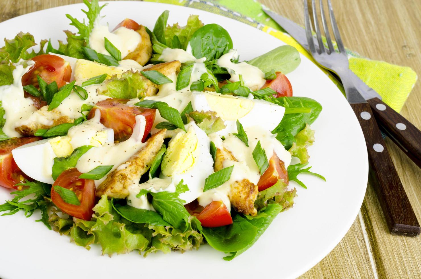 salade de légumes frais, œufs, viande de poulet sauce blanche. photo