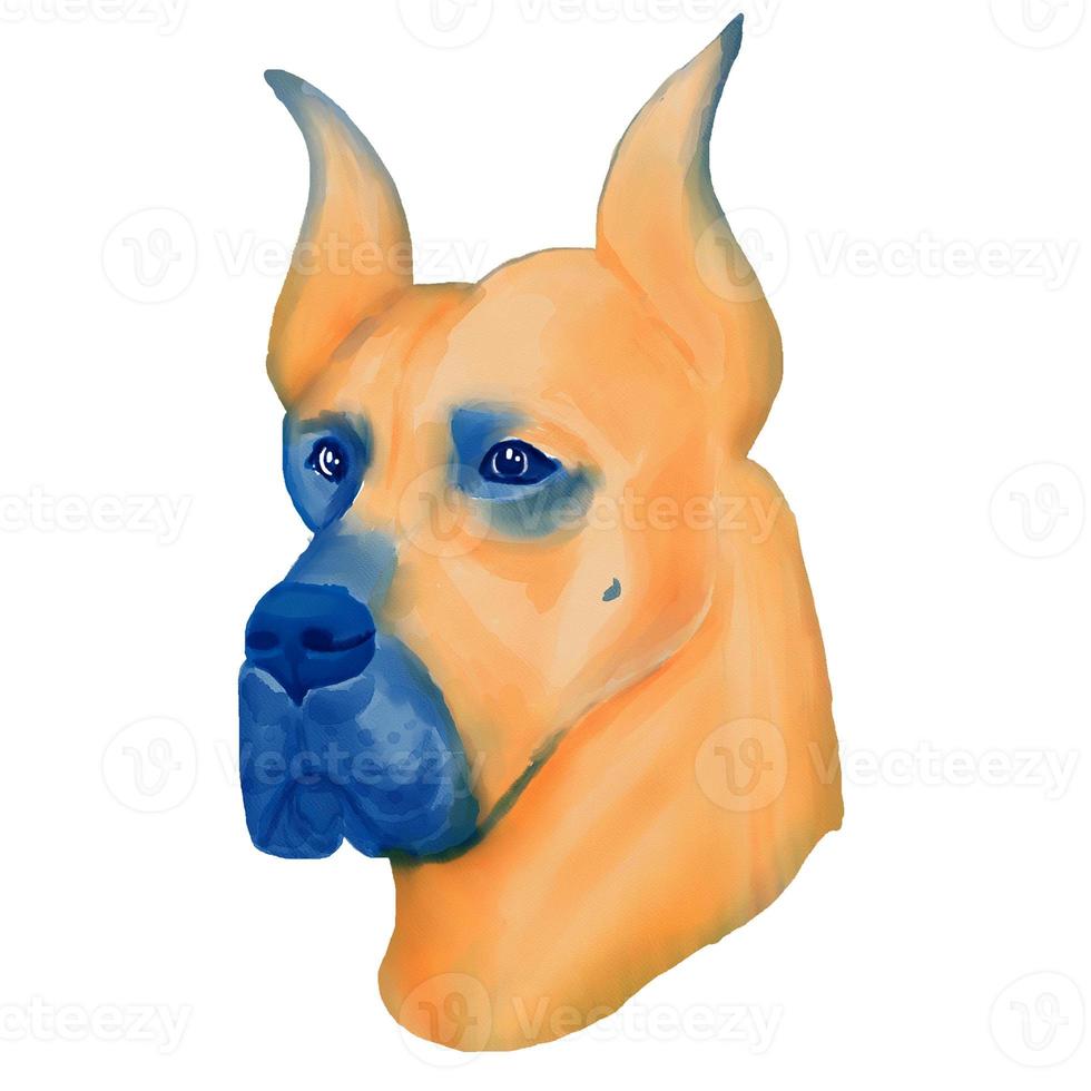 visage de race de chien dogue allemand isolé sur fond blanc. photo