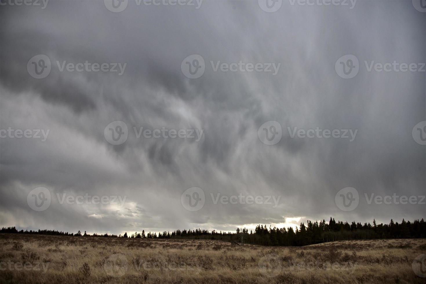 Cypress Hills Alberta Saskatchewan photo