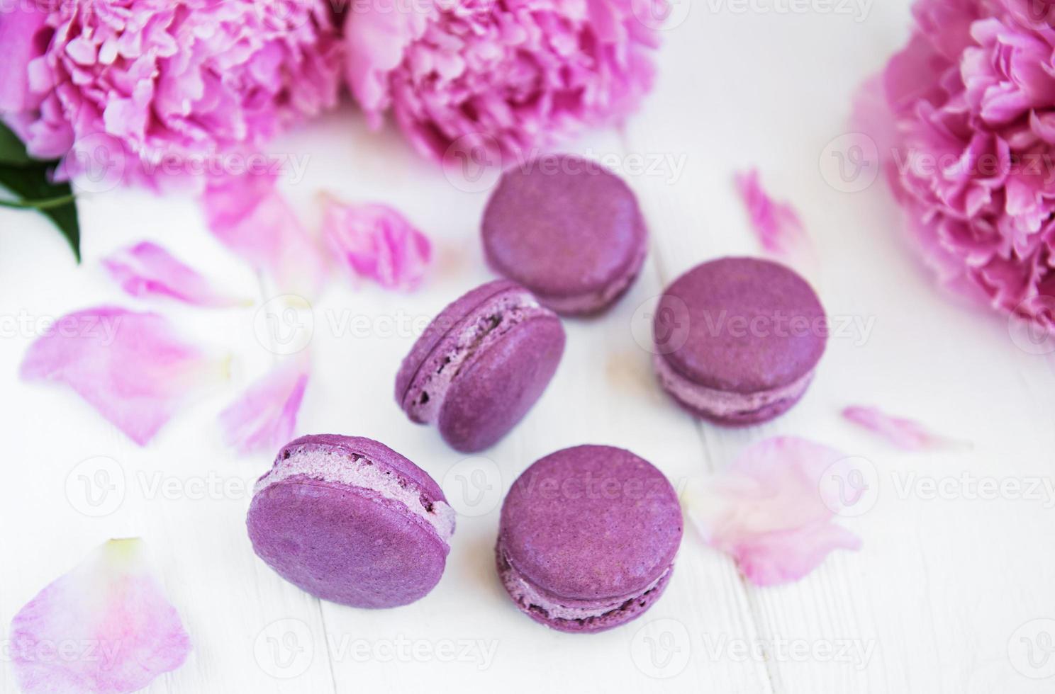 pivoine rose avec macarons photo