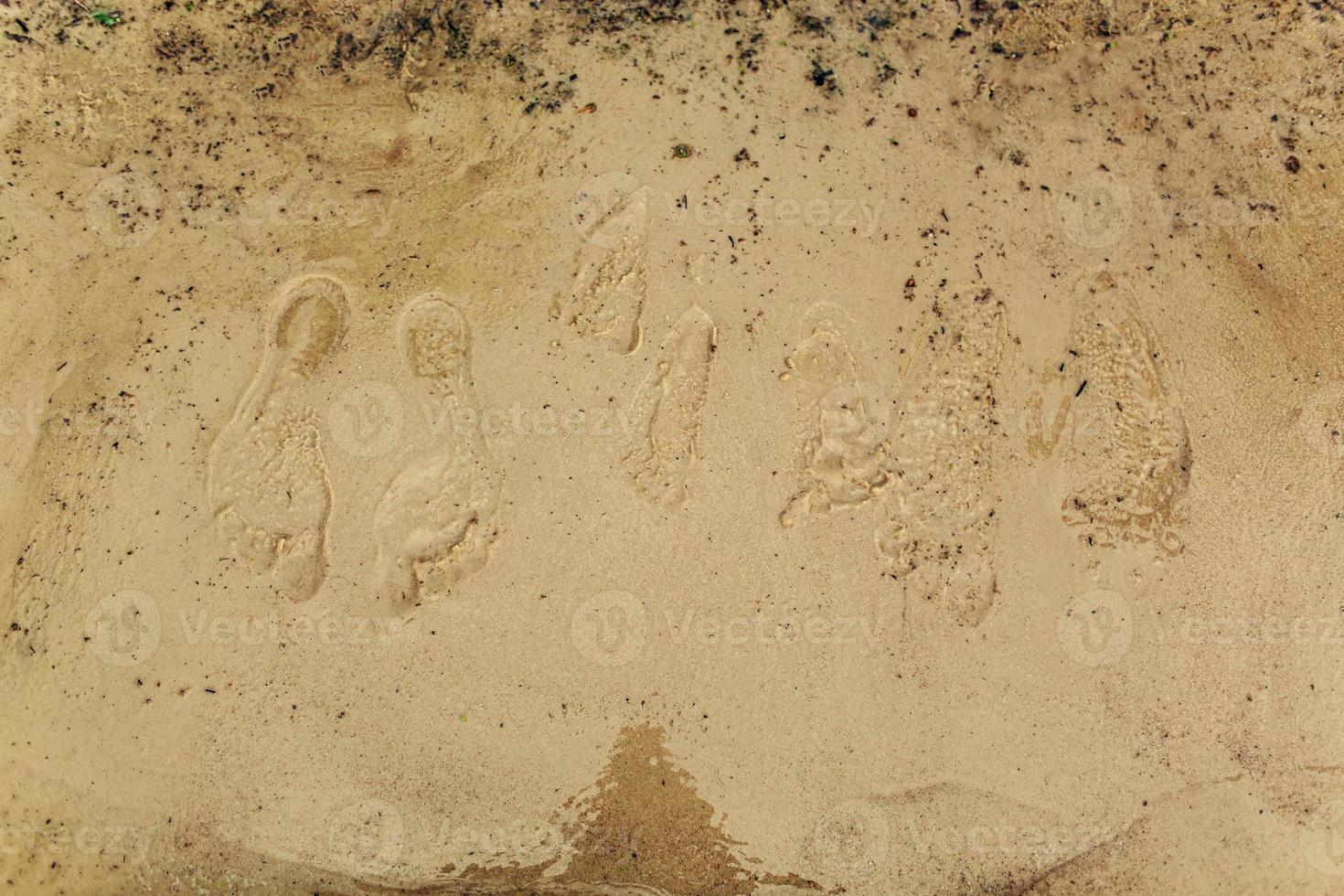 empreintes sur le sable. sur la plage. photo