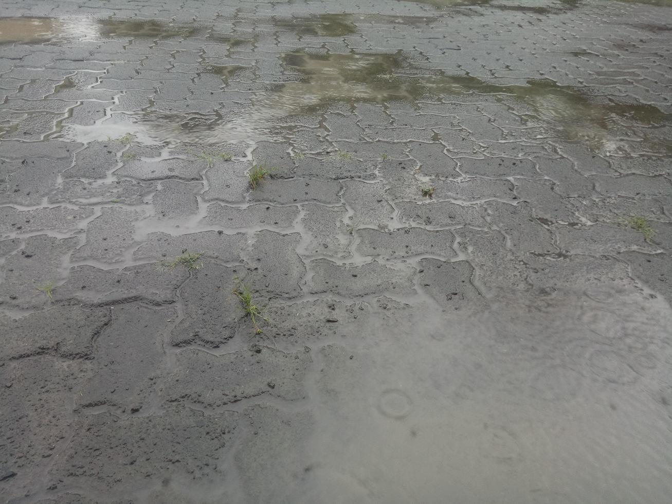 la route pavée de briques humides photo