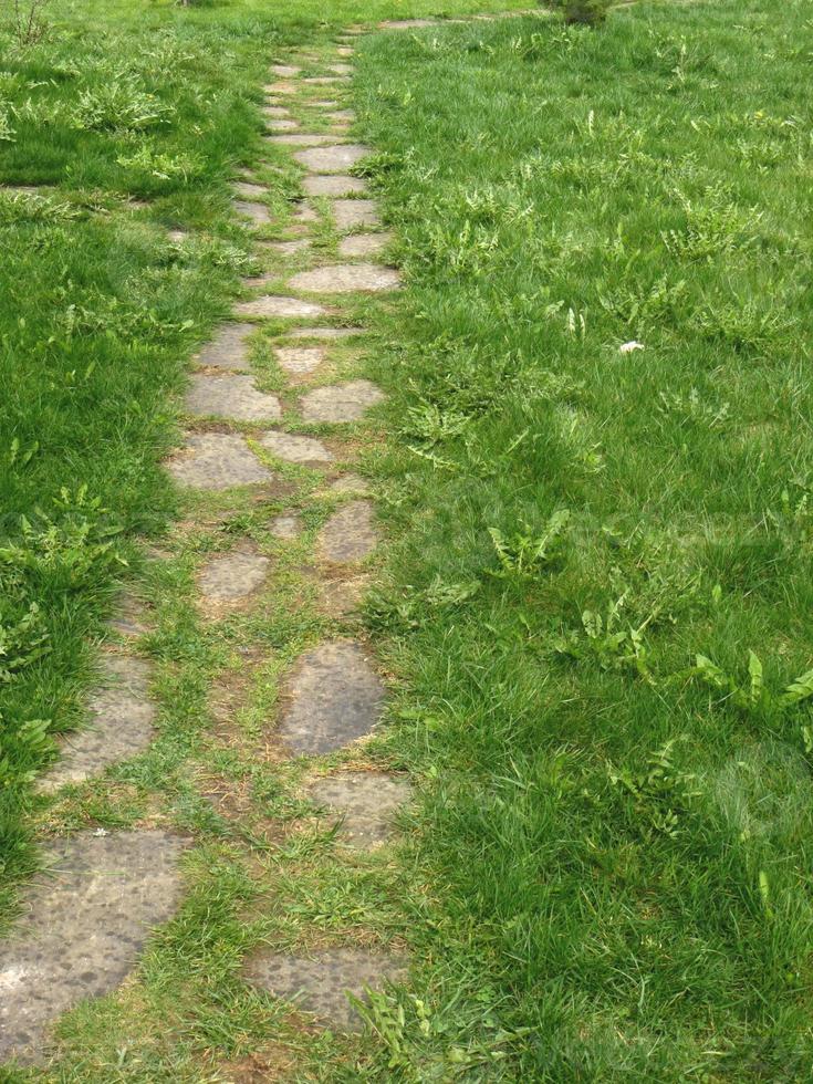 chemin de pierre parmi l'herbe verte. photo