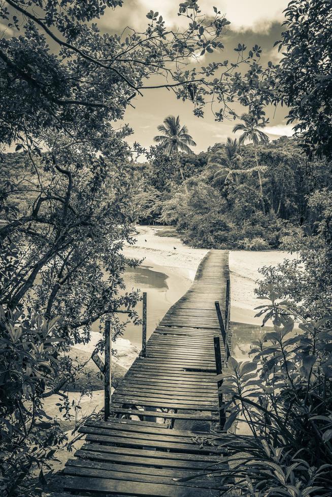 mangrove et plage de pouso avec bridge island ilha grande brésil. photo