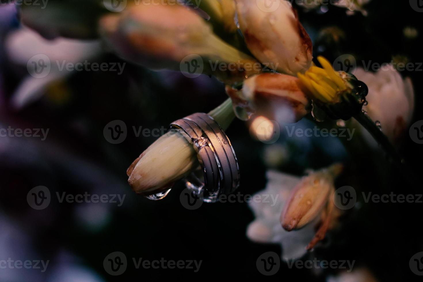 une paire d'alliances sur une fleur photo