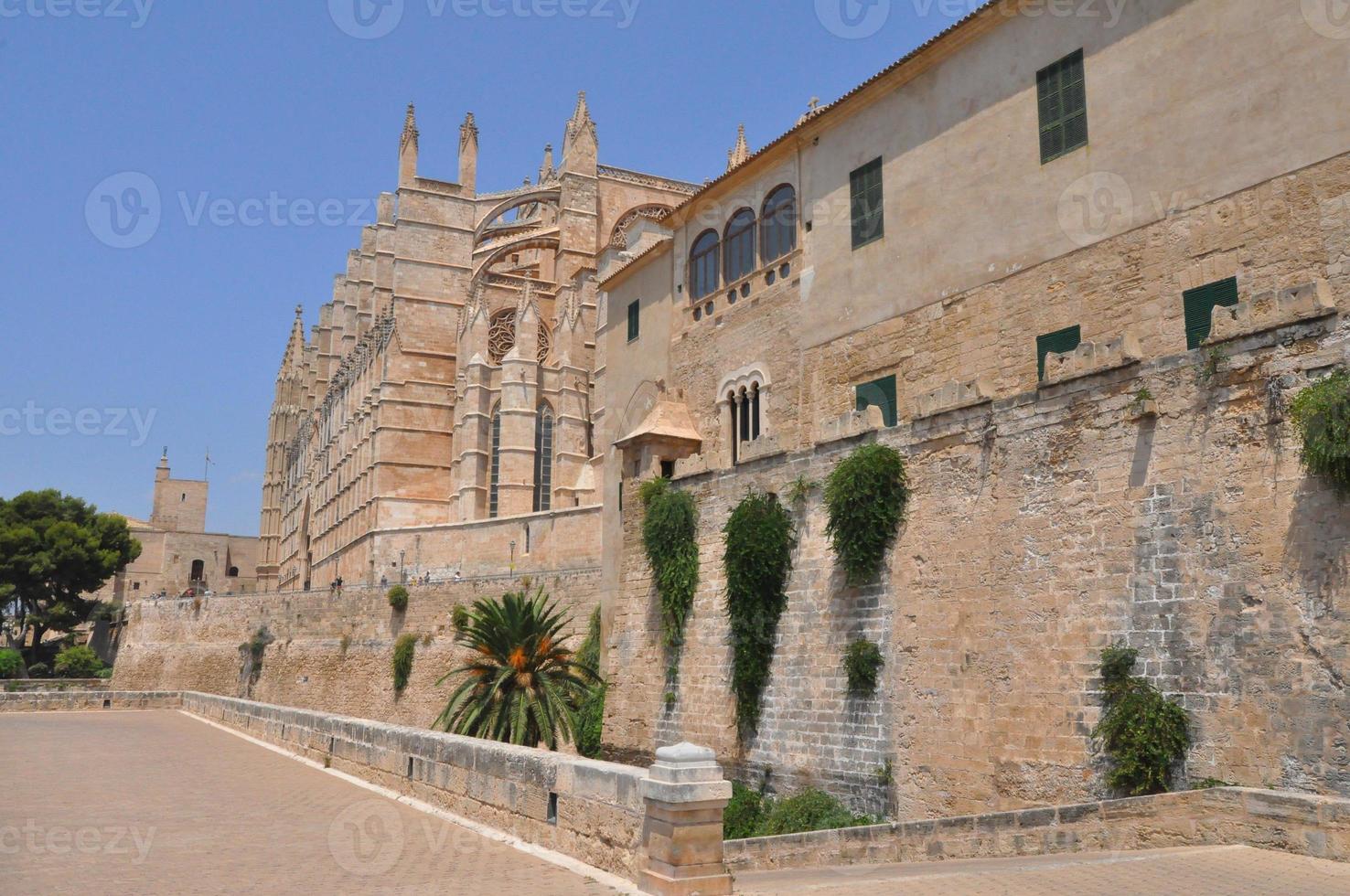 cathédrale st mary à palma de majorque photo