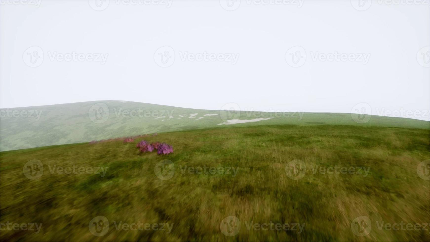 paysage de collines vertes aériennes dans le brouillard photo