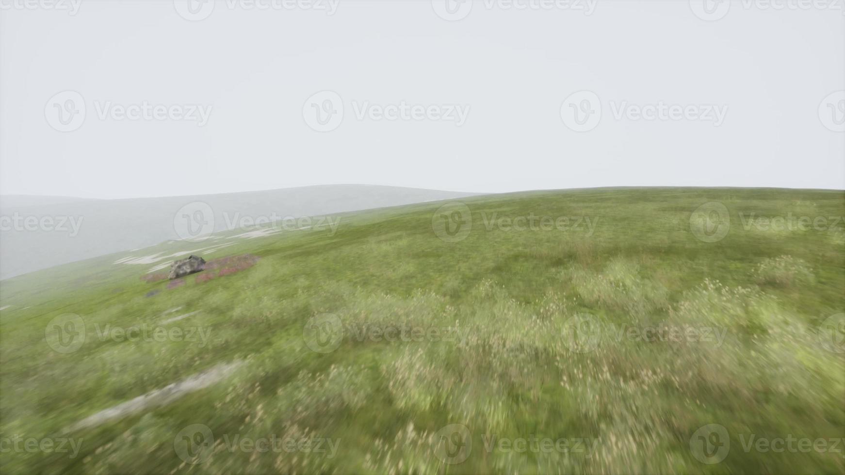 paysage de collines vertes aériennes dans le brouillard photo