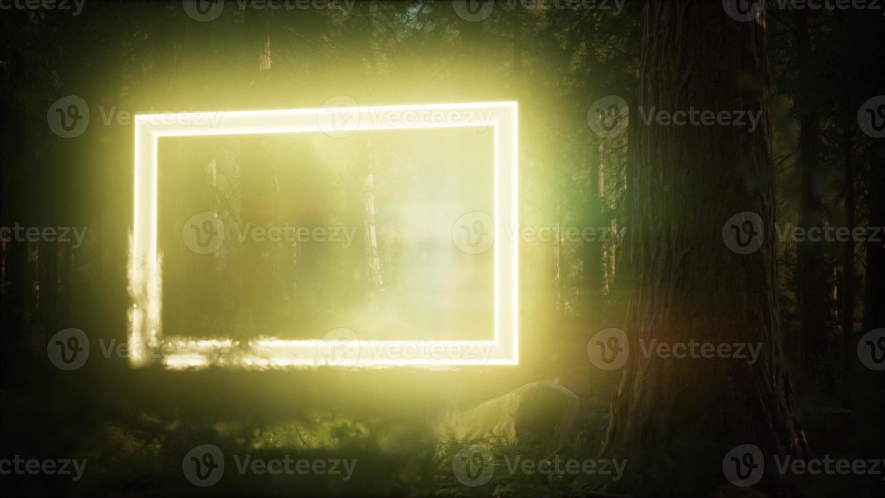 cadre rectangle lumineux au néon dans la forêt de nuit photo