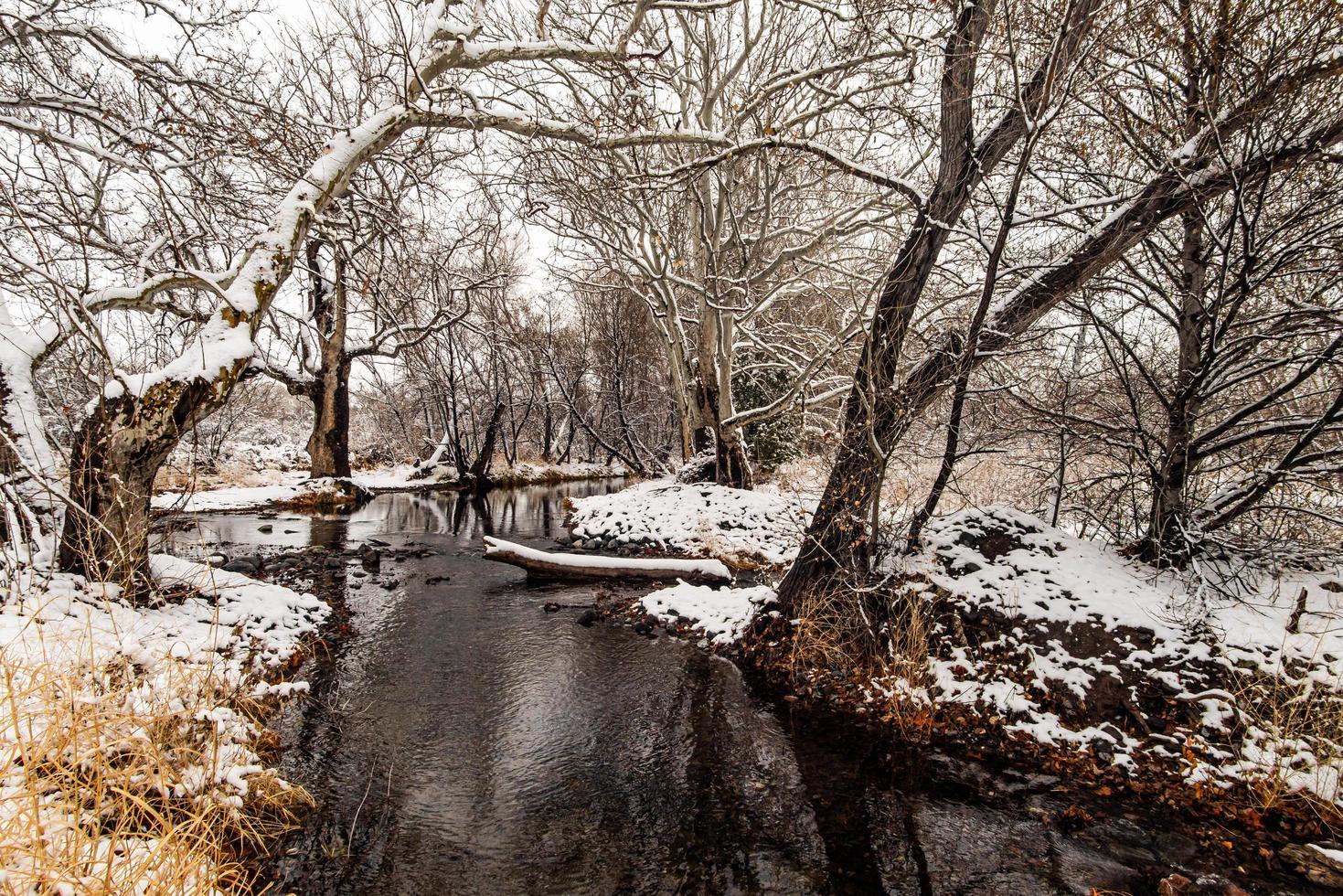 hiver, neige de ruisseau photo