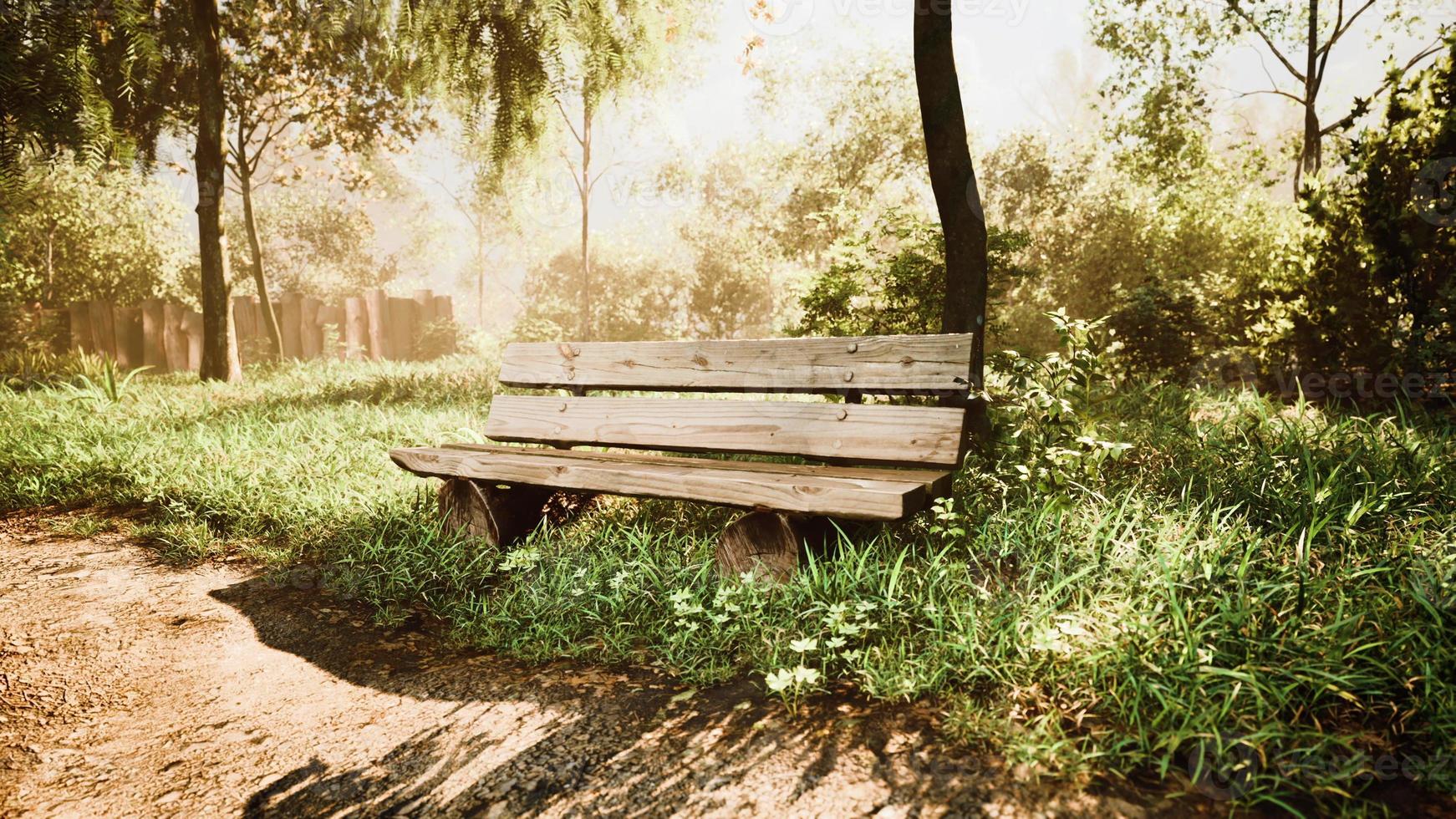 beau banc dans le parc à la journée ensoleillée de printemps photo