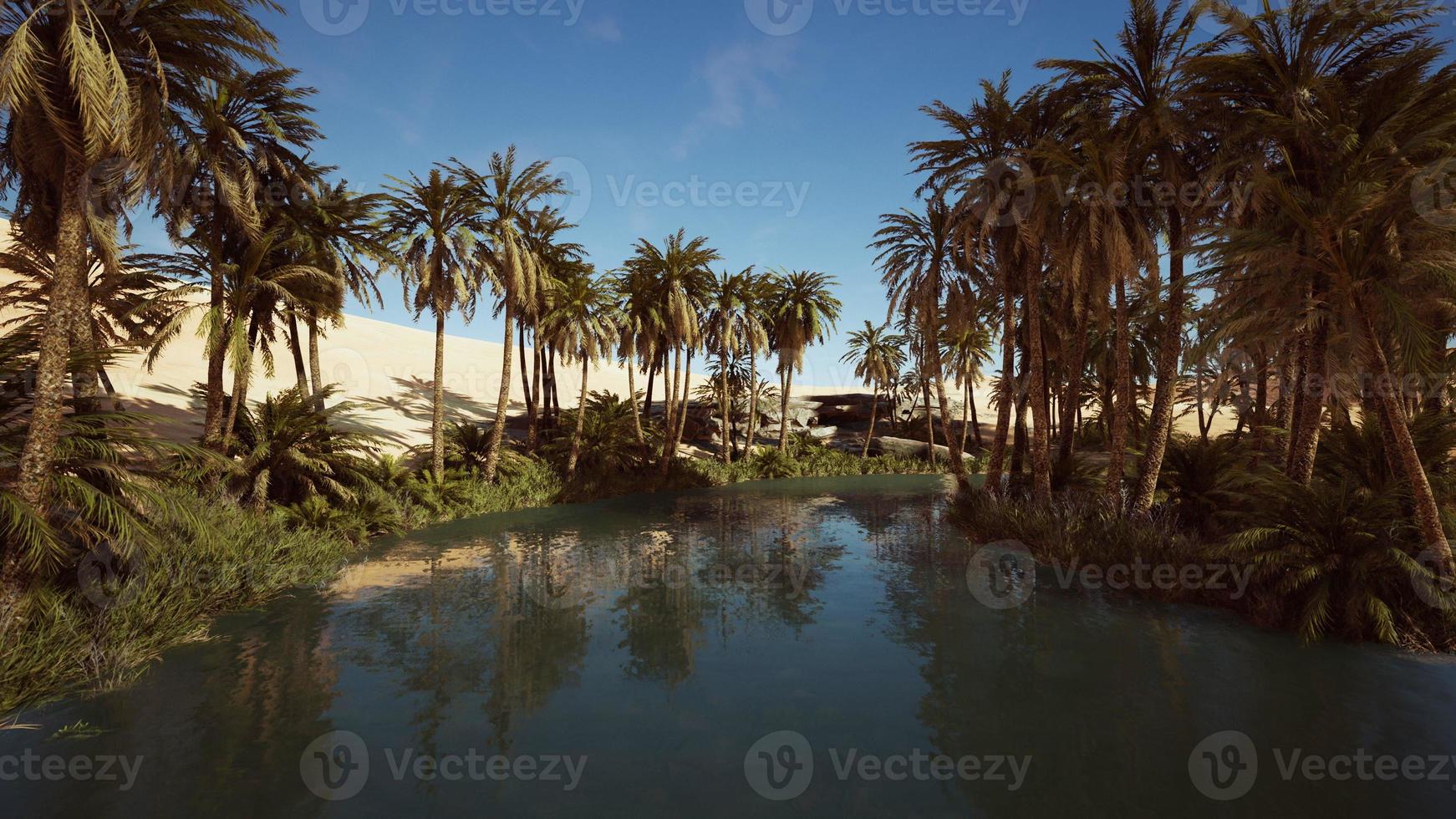 oasis idyllique dans le désert du sahara photo