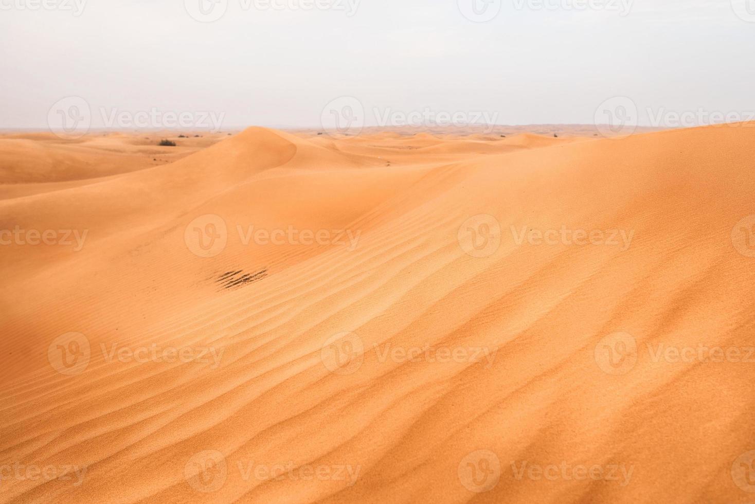 dunes du désert à dubaï photo