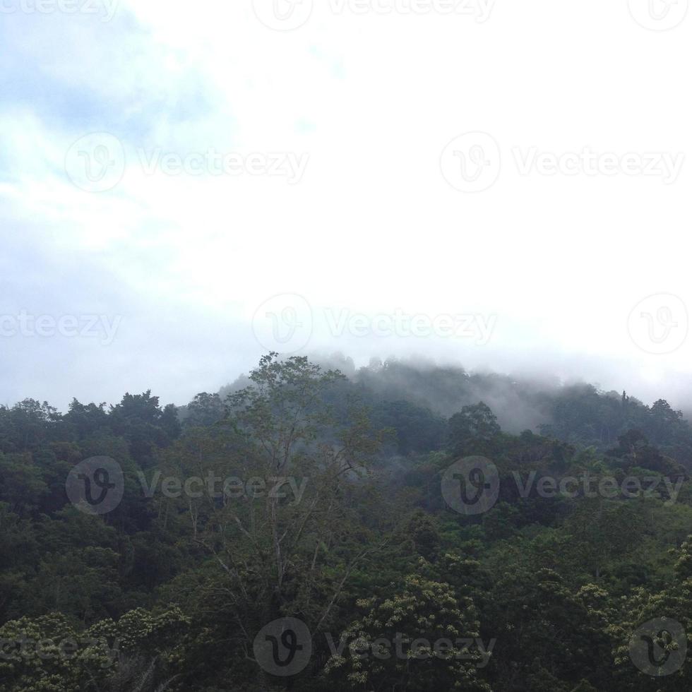 matin brumeux sur la colline photo