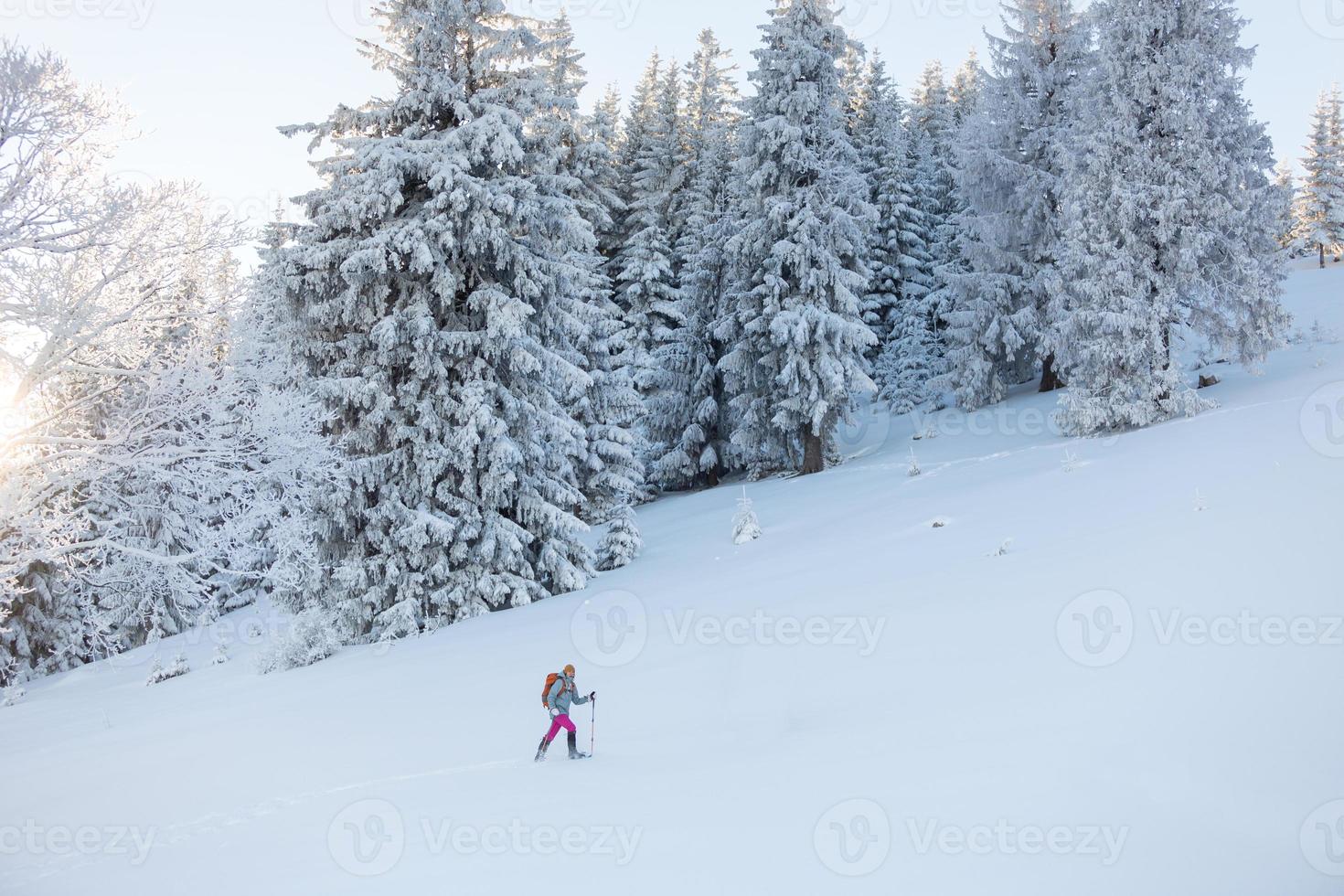une femme marche en raquettes dans les montagnes, trekking d'hiver photo