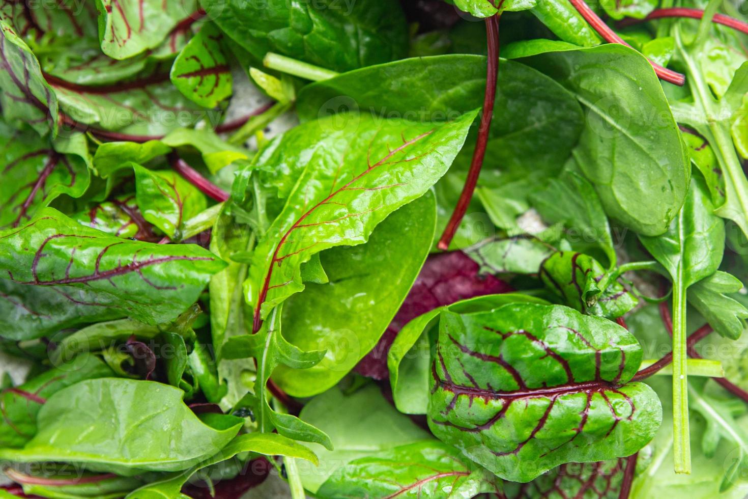 Mélange de feuilles de salade verte collation juteuse microgreen prête à manger sur la table photo