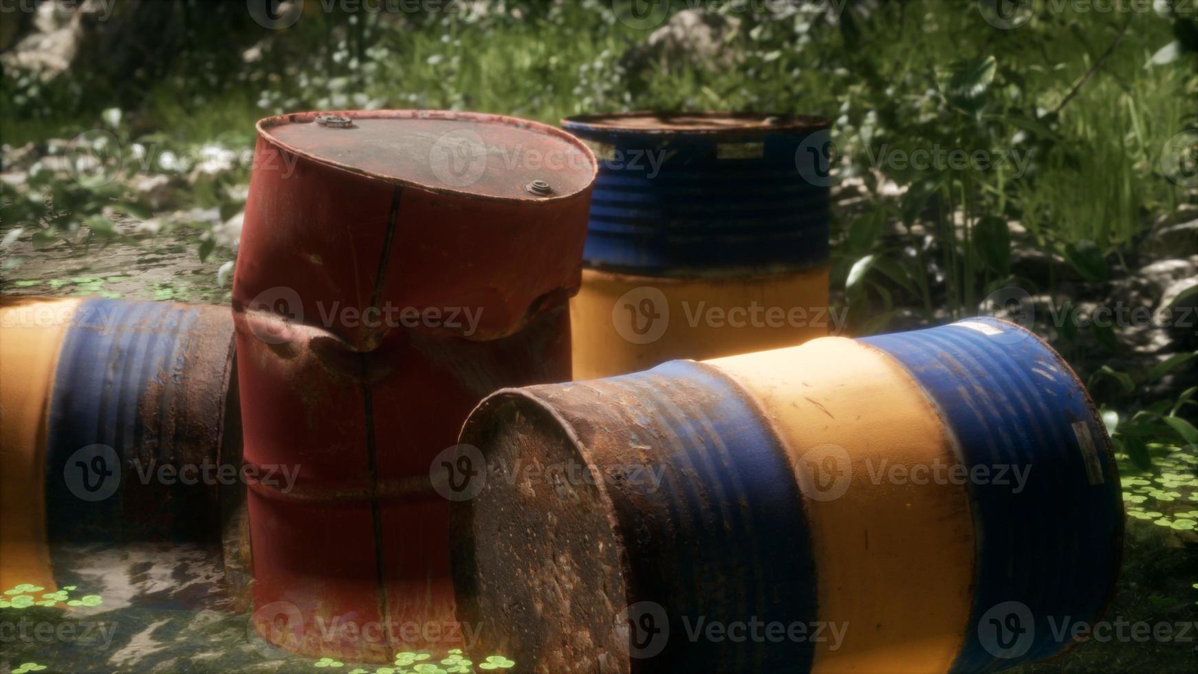 barils rouillés dans la forêt verte photo