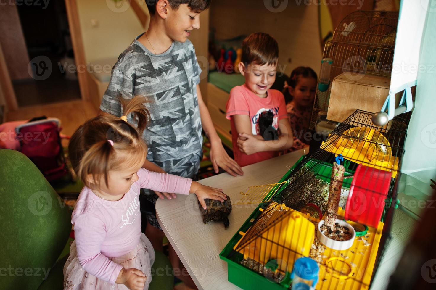 quatre enfants tenant leurs animaux de compagnie préférés sur les mains. les enfants jouent avec le hamster, la tortue et les perroquets à la maison. photo