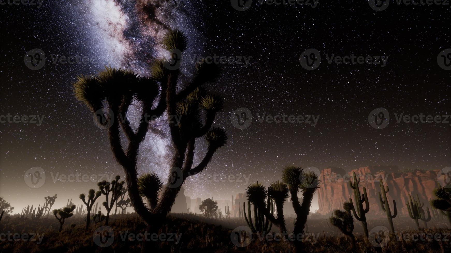 hyperlapse dans le désert du parc national de la vallée de la mort au clair de lune sous les étoiles de la galaxie photo