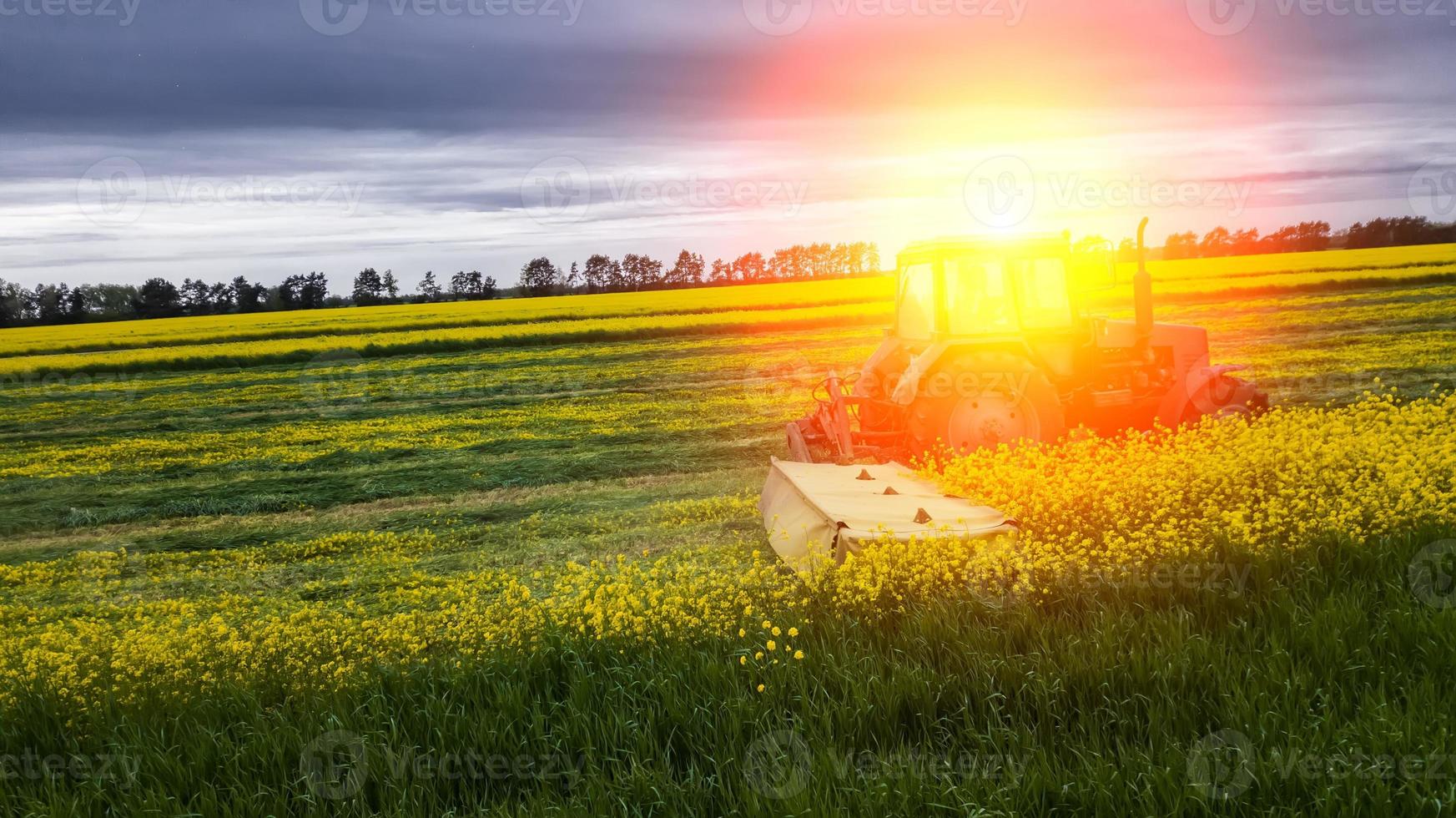 tondre la photographie aérienne d'un tracteur de colza avec un drone photo