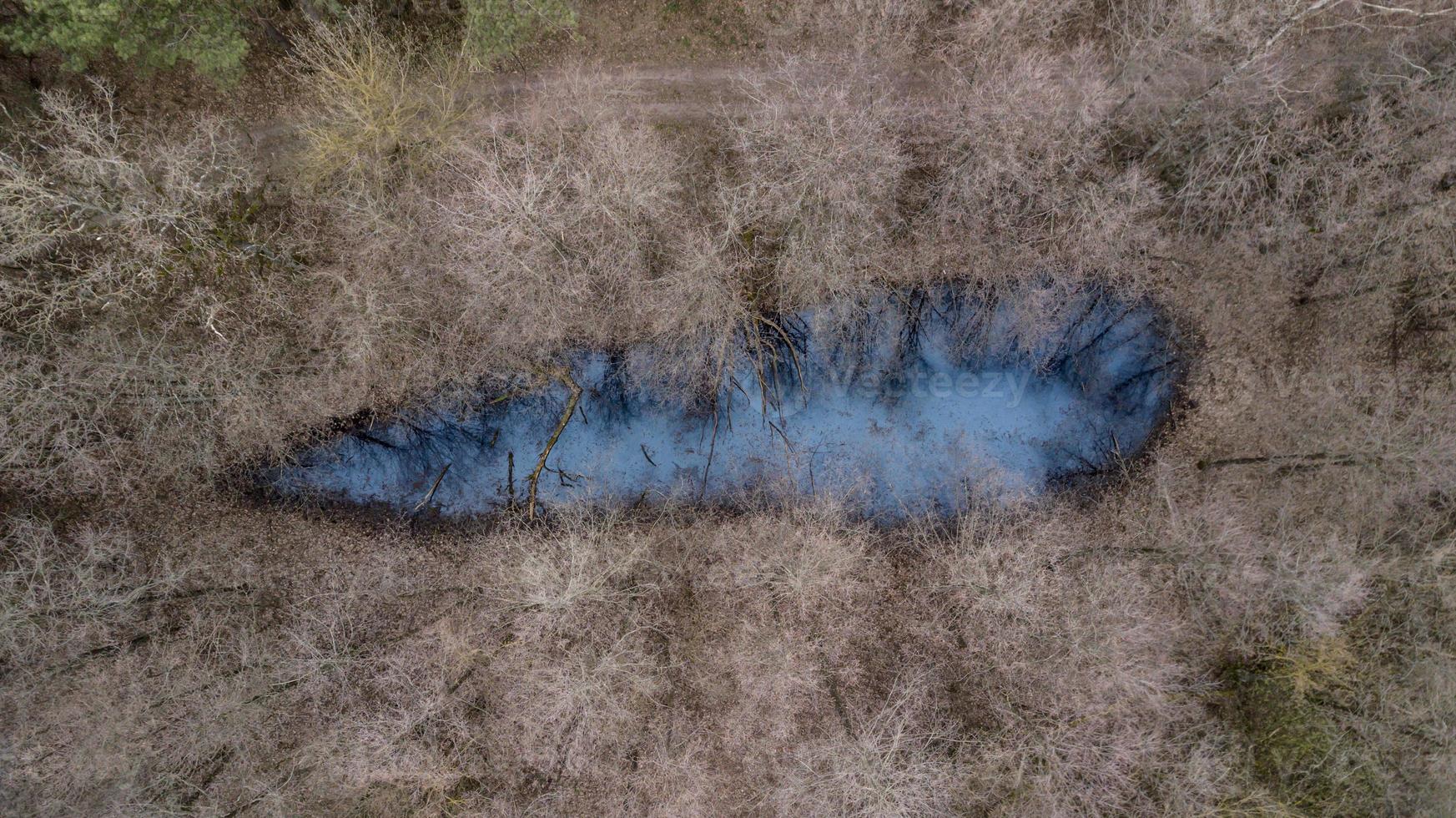 lac bleu dans la forêt vue de dessus photo