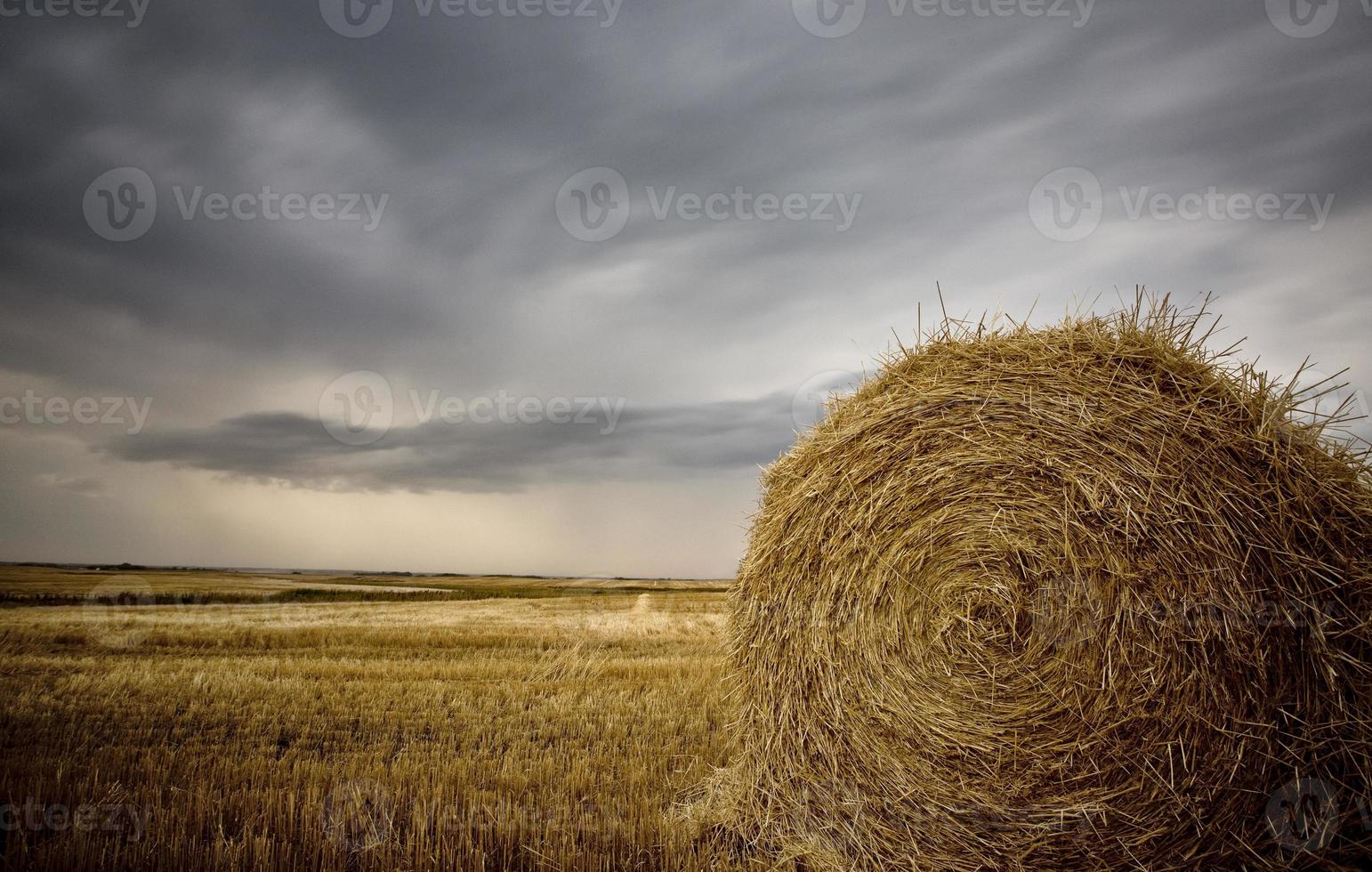 scène des prairies saskatchewan photo