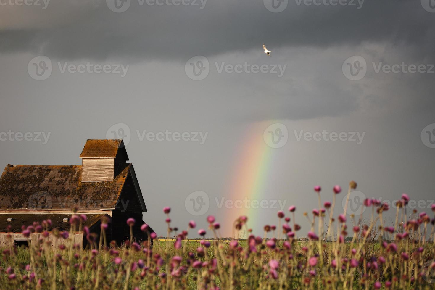 nuages d'orage des prairies photo