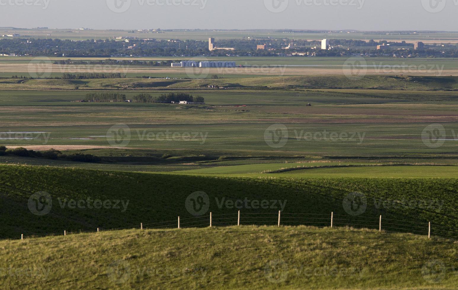 vue sur la prairie de la mâchoire de l'orignal photo