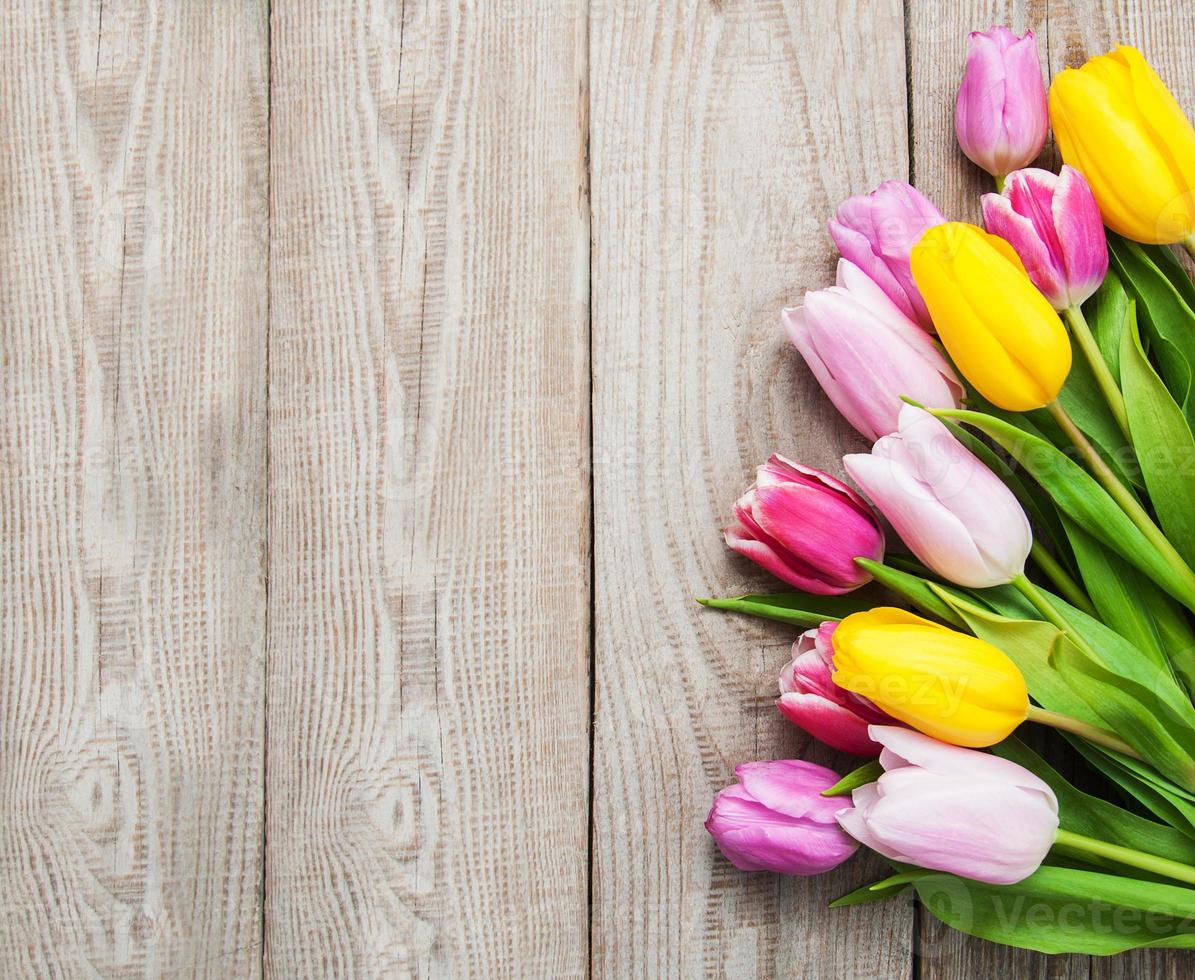 fleurs de tulipes de printemps photo