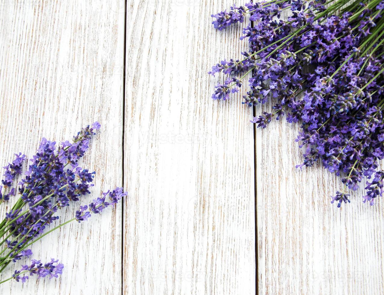 bouquet de lavande photo